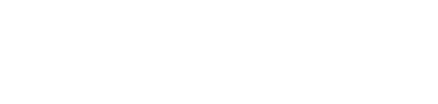 ELSVAN Logo